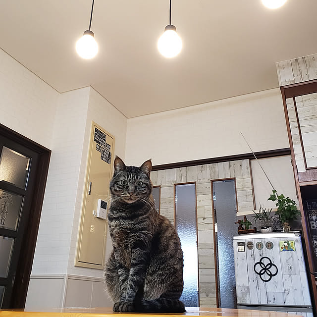 Mayumi8888さんの実例写真