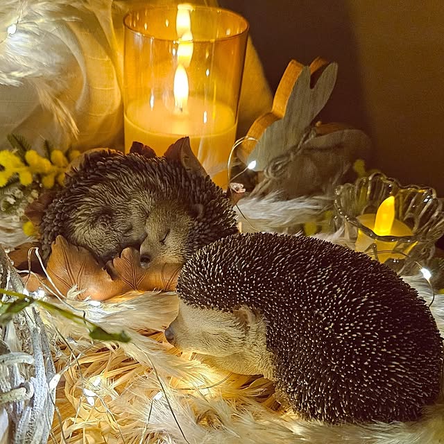 mocomocoさんの部屋