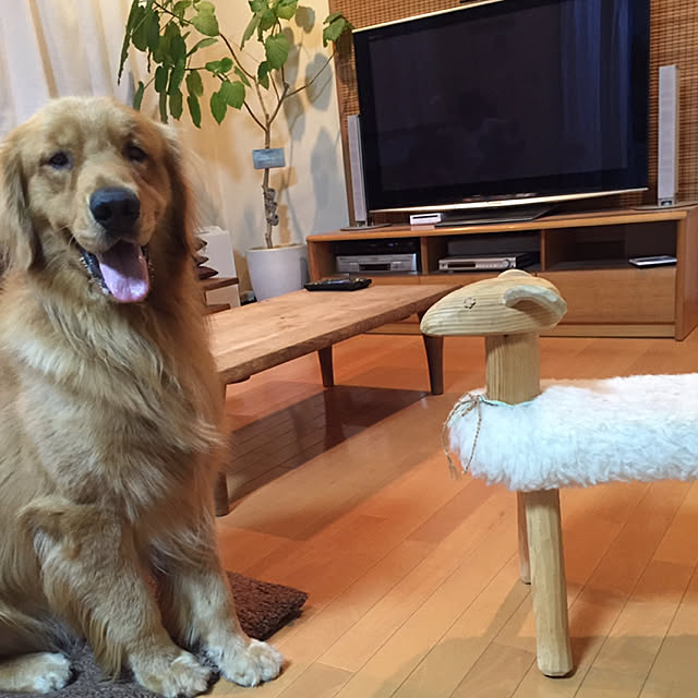 maraさんの実例写真