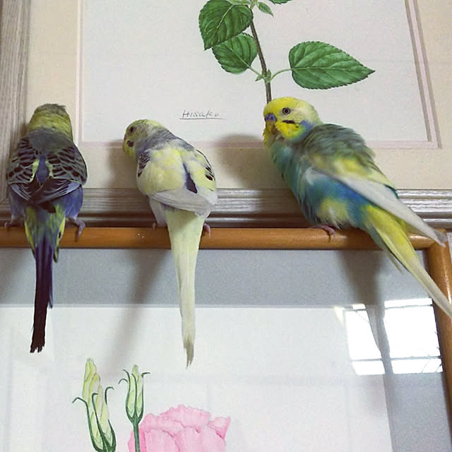 jean-cocteauさんの実例写真