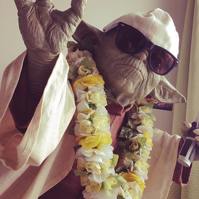 実例写真