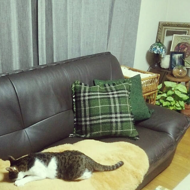 rinさんの実例写真
