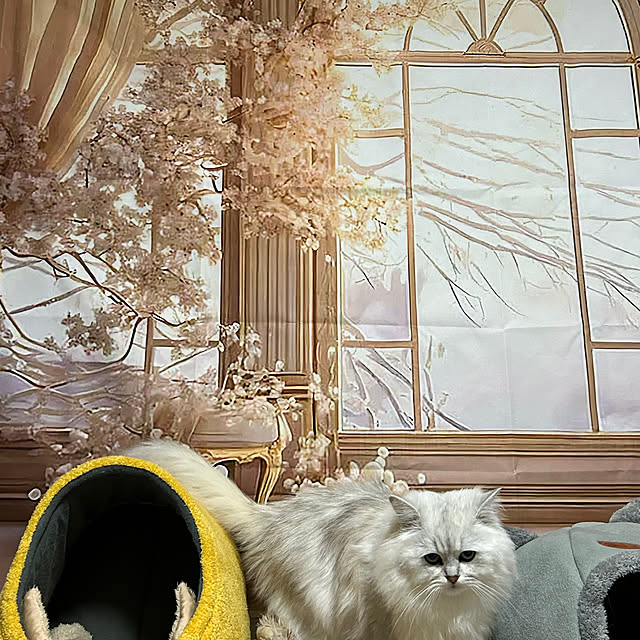 ikunyanさんの部屋