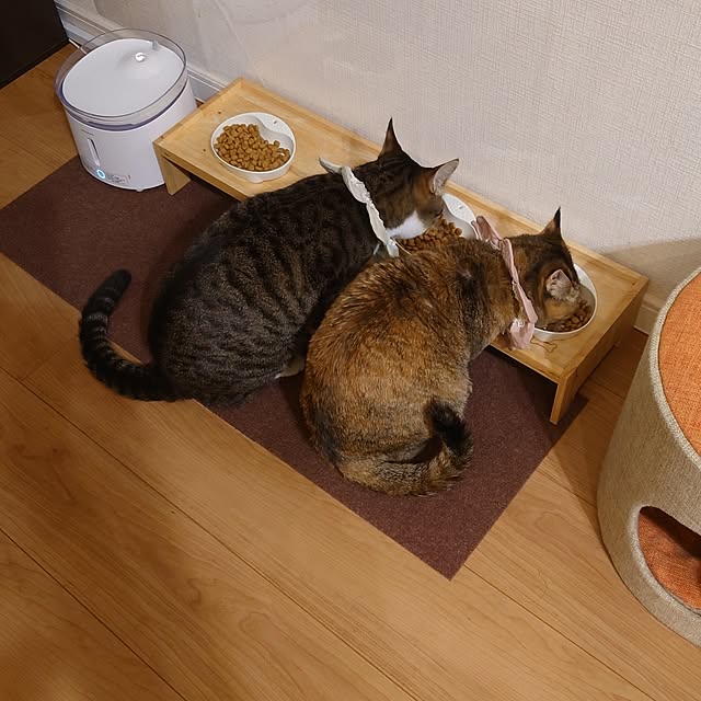 mochicoさんの部屋
