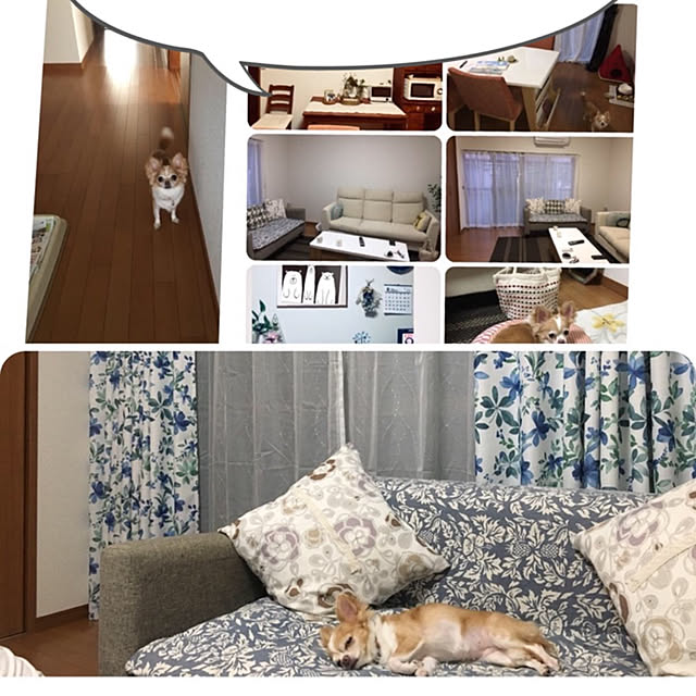 部屋全体/ニトリ/雑貨/リノベーションのインテリア実例 - 2018-09-03 23:08:35