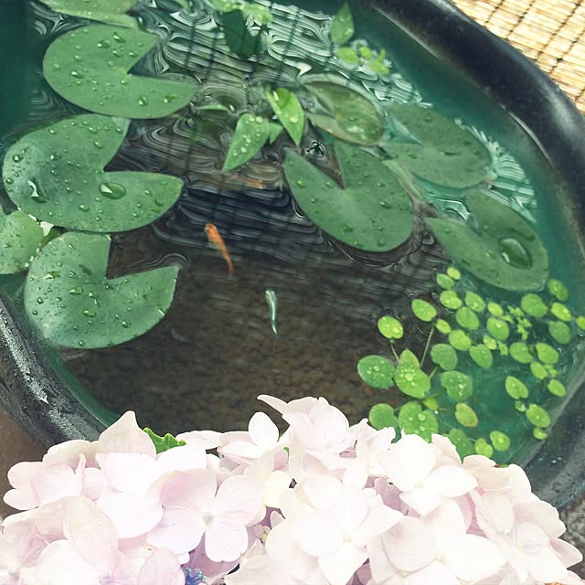 yumanaさんの実例写真