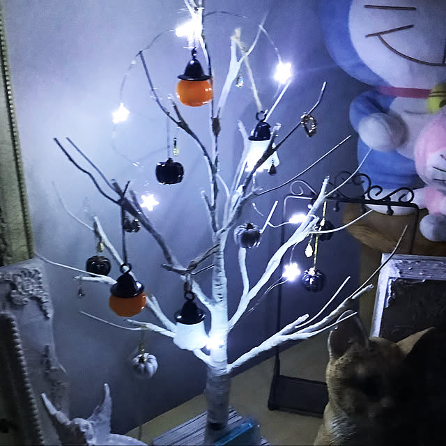 haruminさんの実例写真