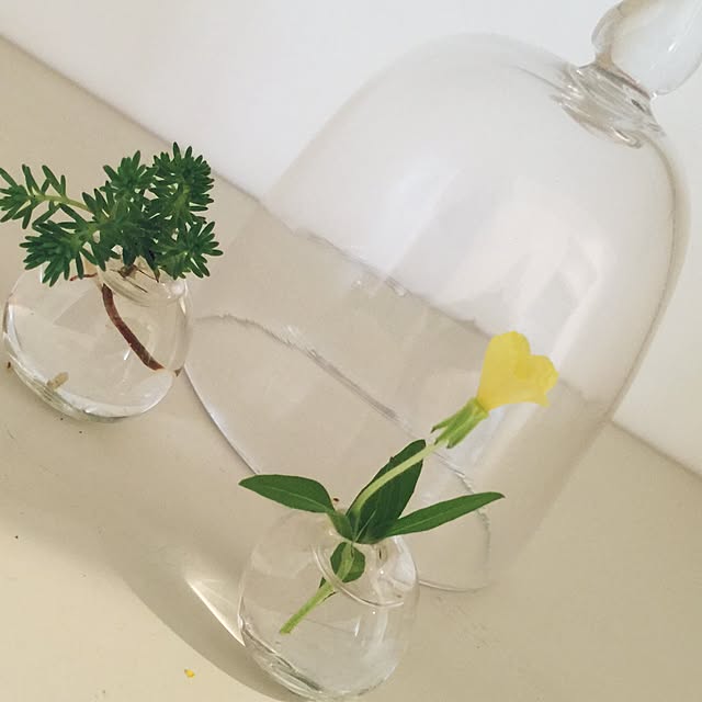 gguuiiさんの実例写真