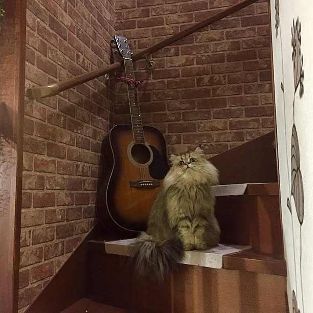 butachanさんの実例写真