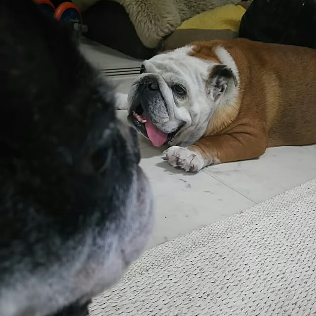 AandPさんの実例写真