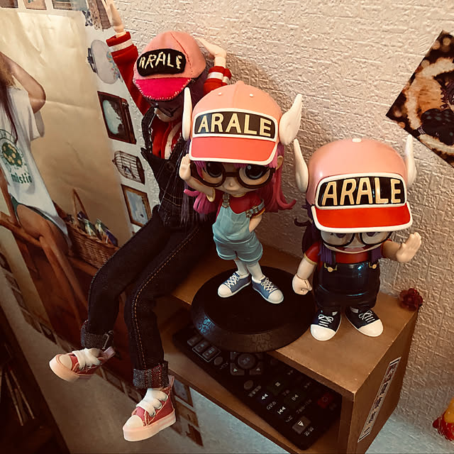 shirahatadnaさんの実例写真