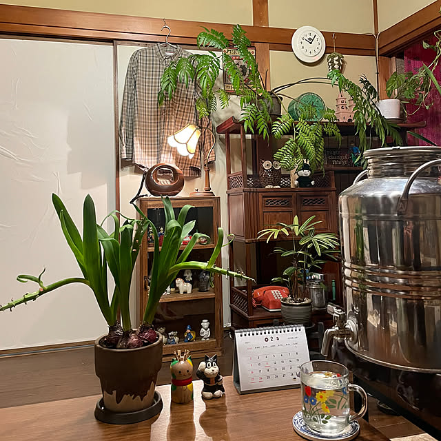 shin0719さんの実例写真