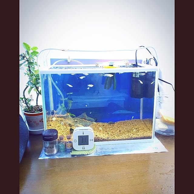 mntcさんの部屋