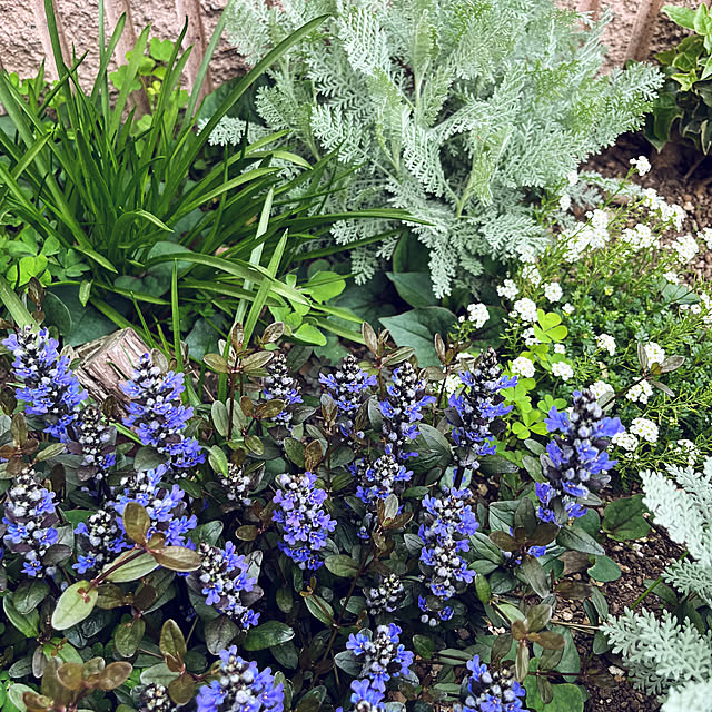 yuuumyさんの実例写真