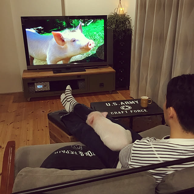 UGさんの実例写真