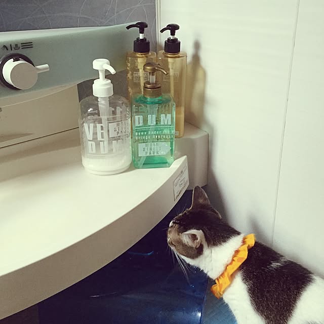 miiko3さんの実例写真