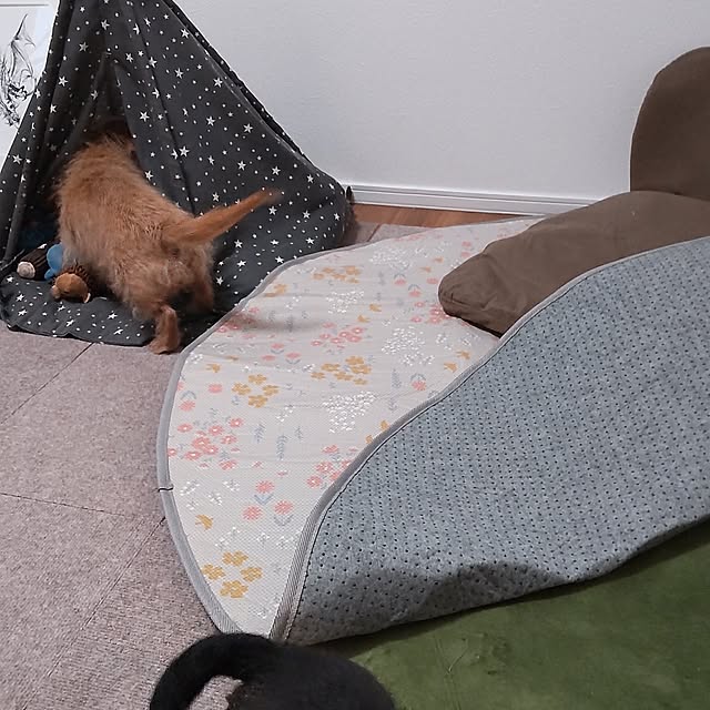 chocococoaさんの部屋
