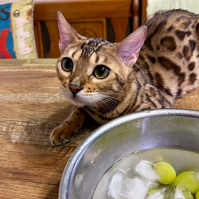 tututu0204さんの部屋