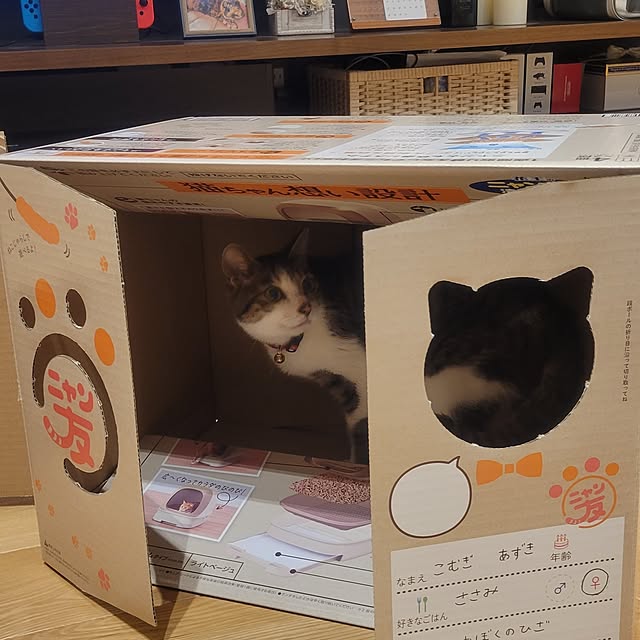 natuさんの部屋