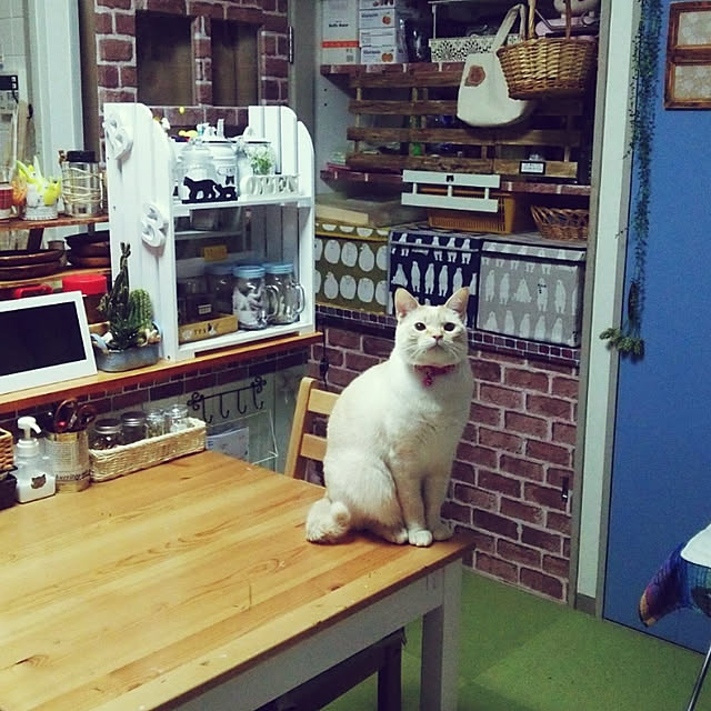 mntcさんの実例写真