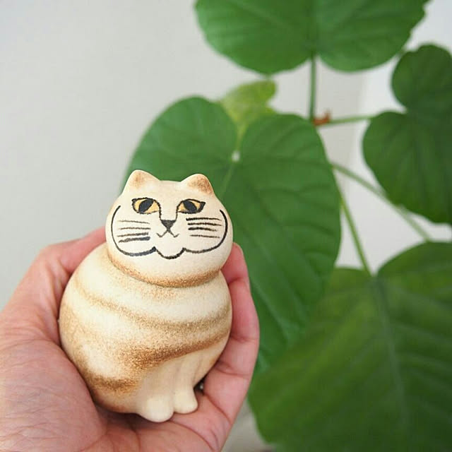 aoimomoさんの実例写真