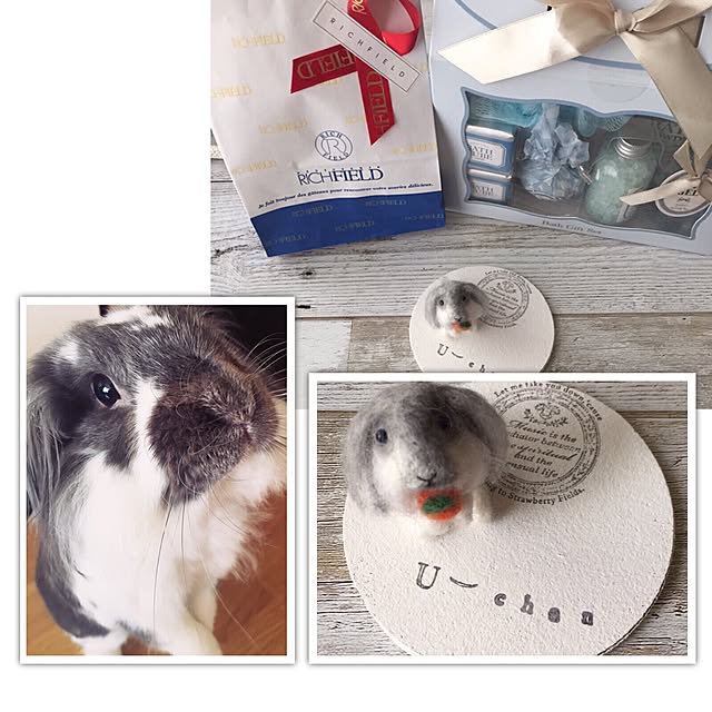 kaorinさんの実例写真