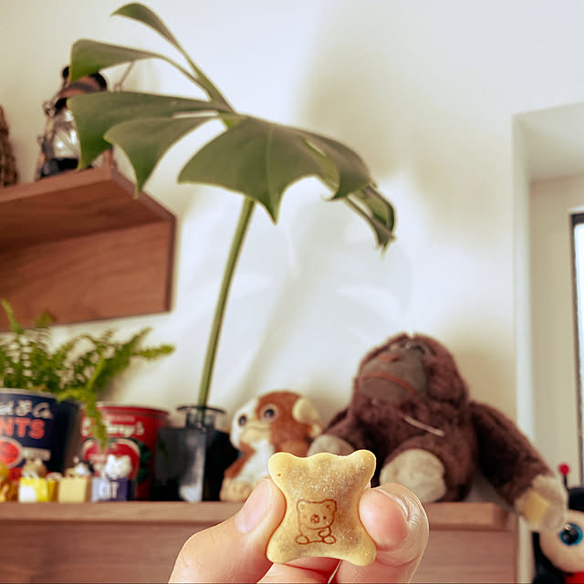 moainanoさんの実例写真