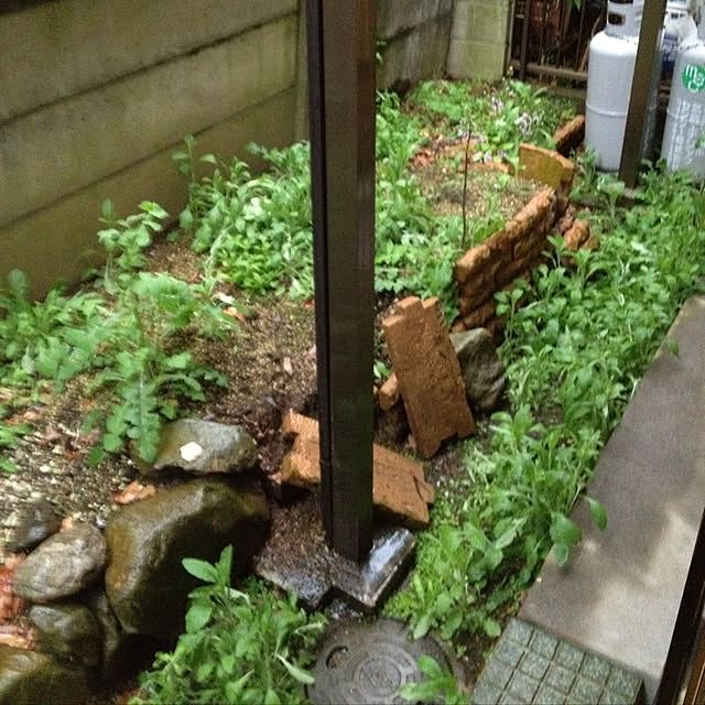 chamさんの実例写真