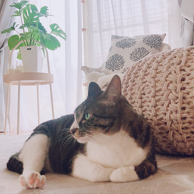 milkcocoaさんの実例写真