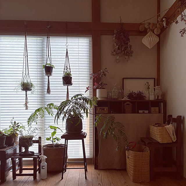 marucoさんの部屋