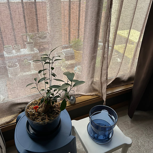 ruuuさんの実例写真