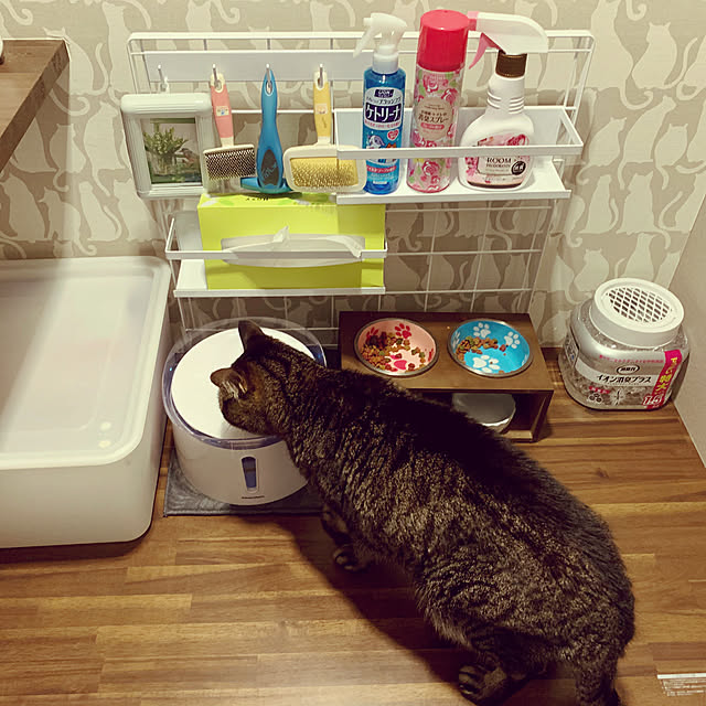 akimamさんの実例写真