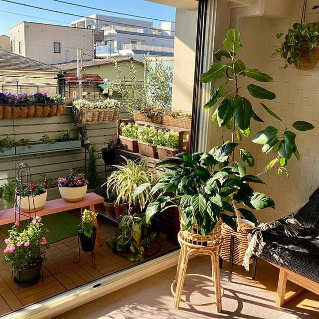 marukoさんの部屋