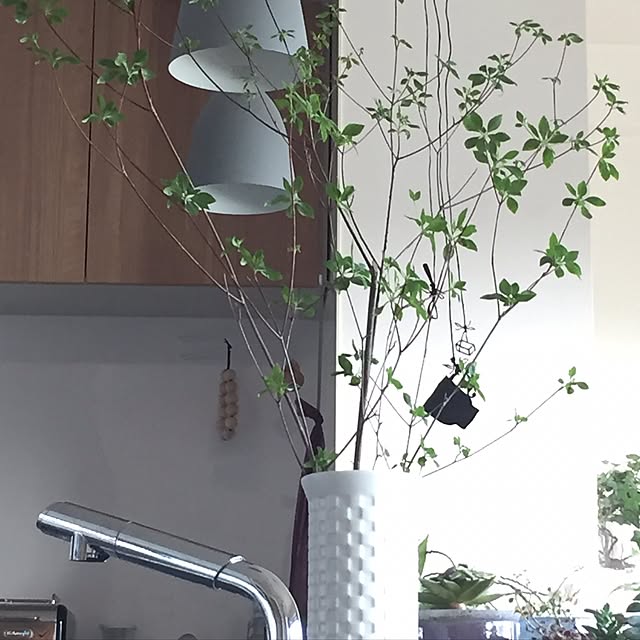 canacoさんの実例写真