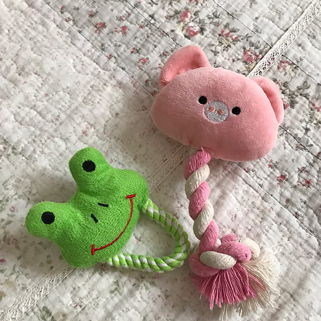 msさんの部屋