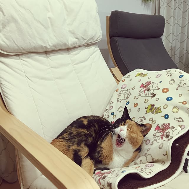 meguchiyoさんの実例写真