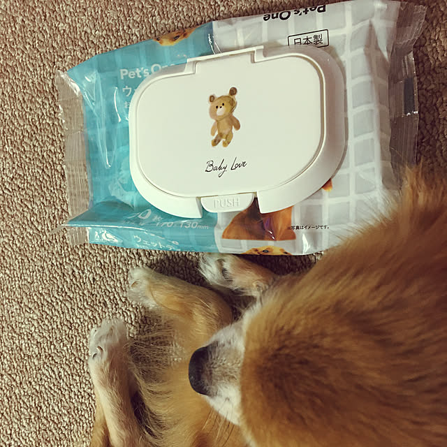 koroさんの実例写真
