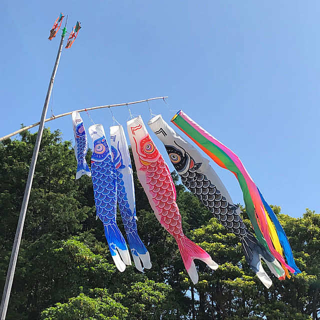 Hikaruさんの実例写真