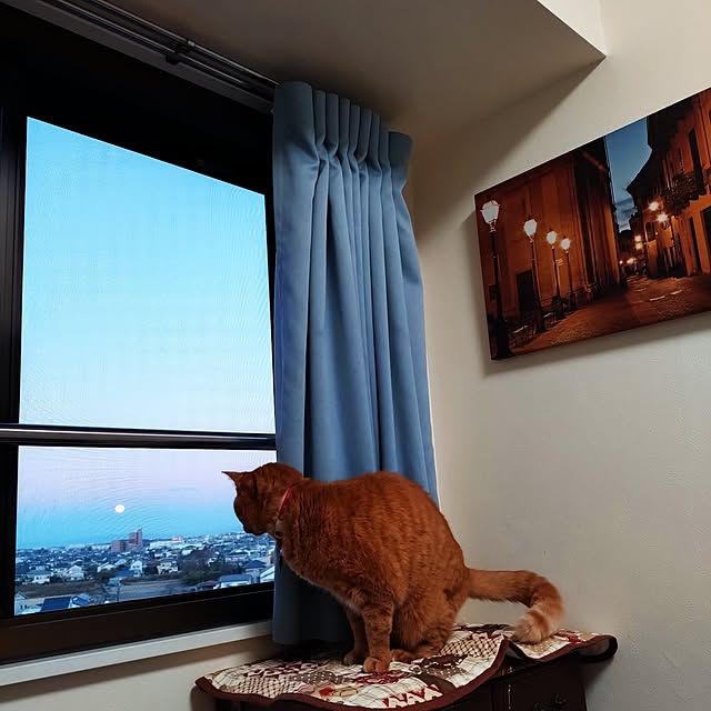 NOAHさんの実例写真