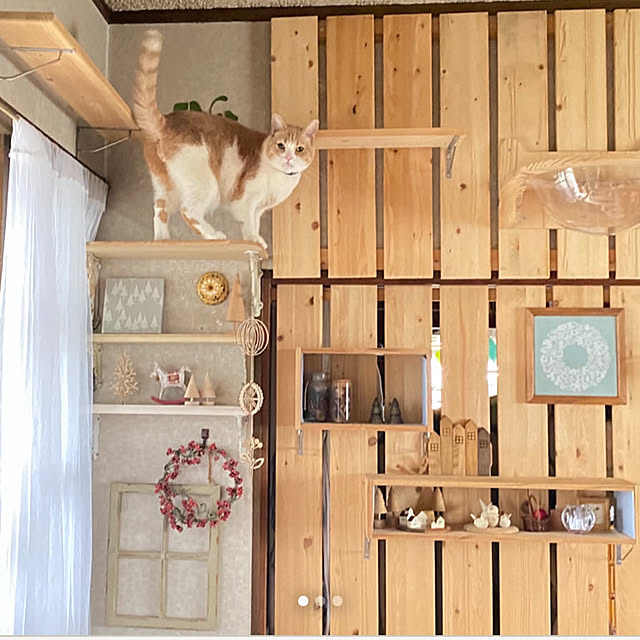 mintteaさんの部屋