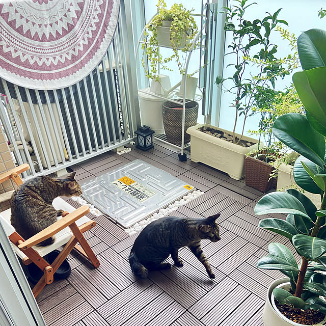 kouさんの実例写真