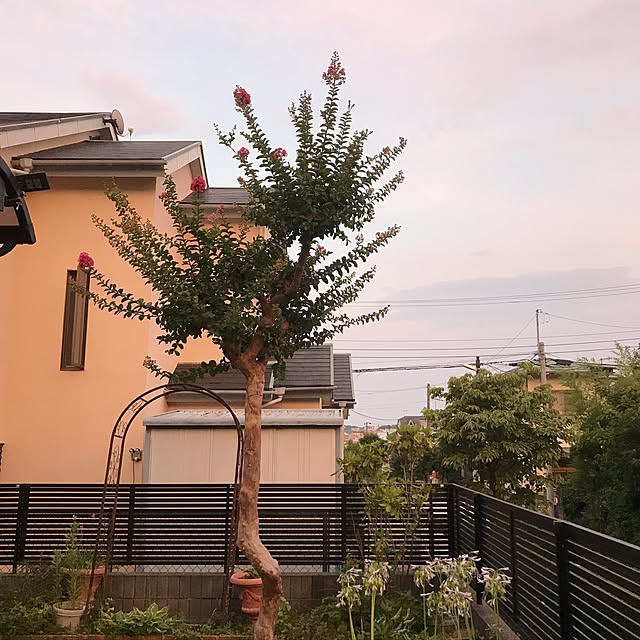 waraihiroさんの実例写真