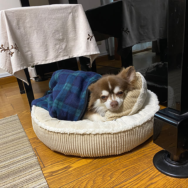 chIoeさんの実例写真