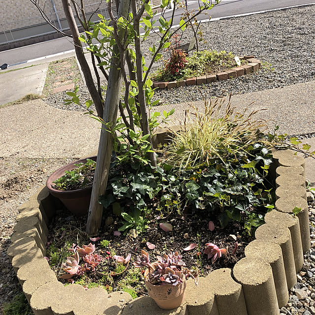 花のある暮らし/玄関/入り口のインテリア実例 - 2020-04-19 14:56:22