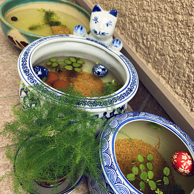 sanboさんの実例写真