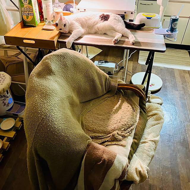 YUKAさんの実例写真