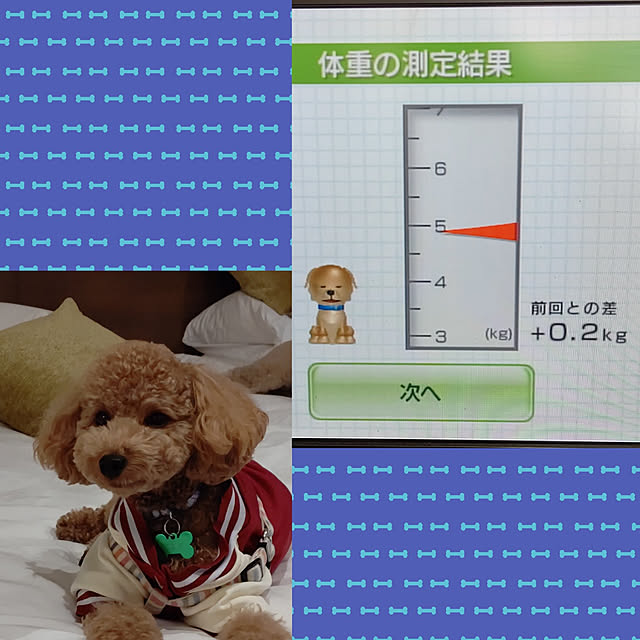 yumirinさんの実例写真