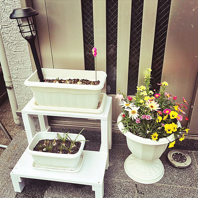 non_8v_v8さんの実例写真