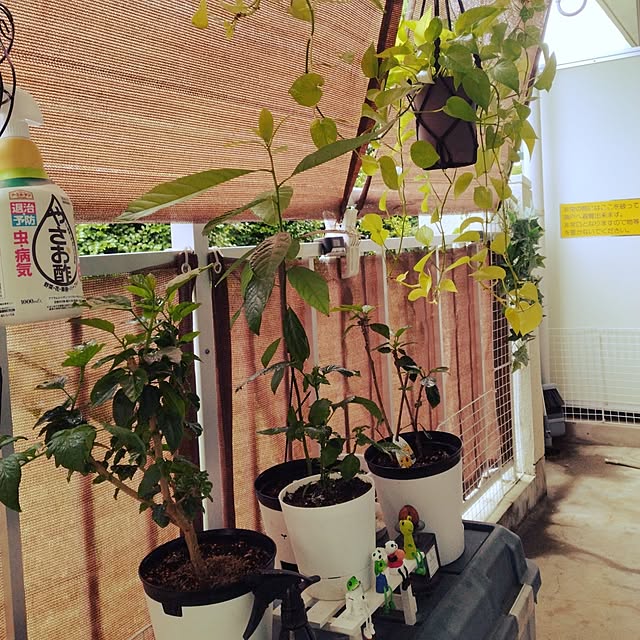 runaさんの部屋