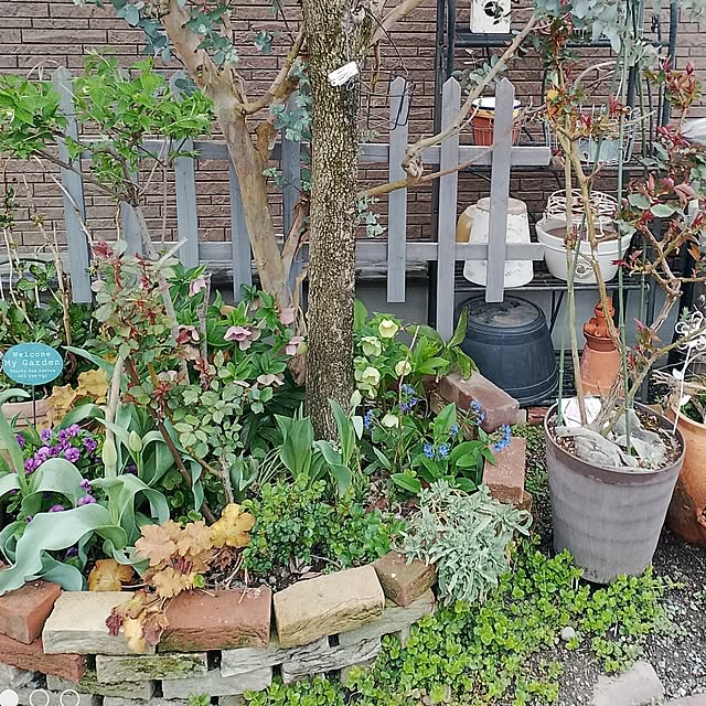 civicglさんの部屋